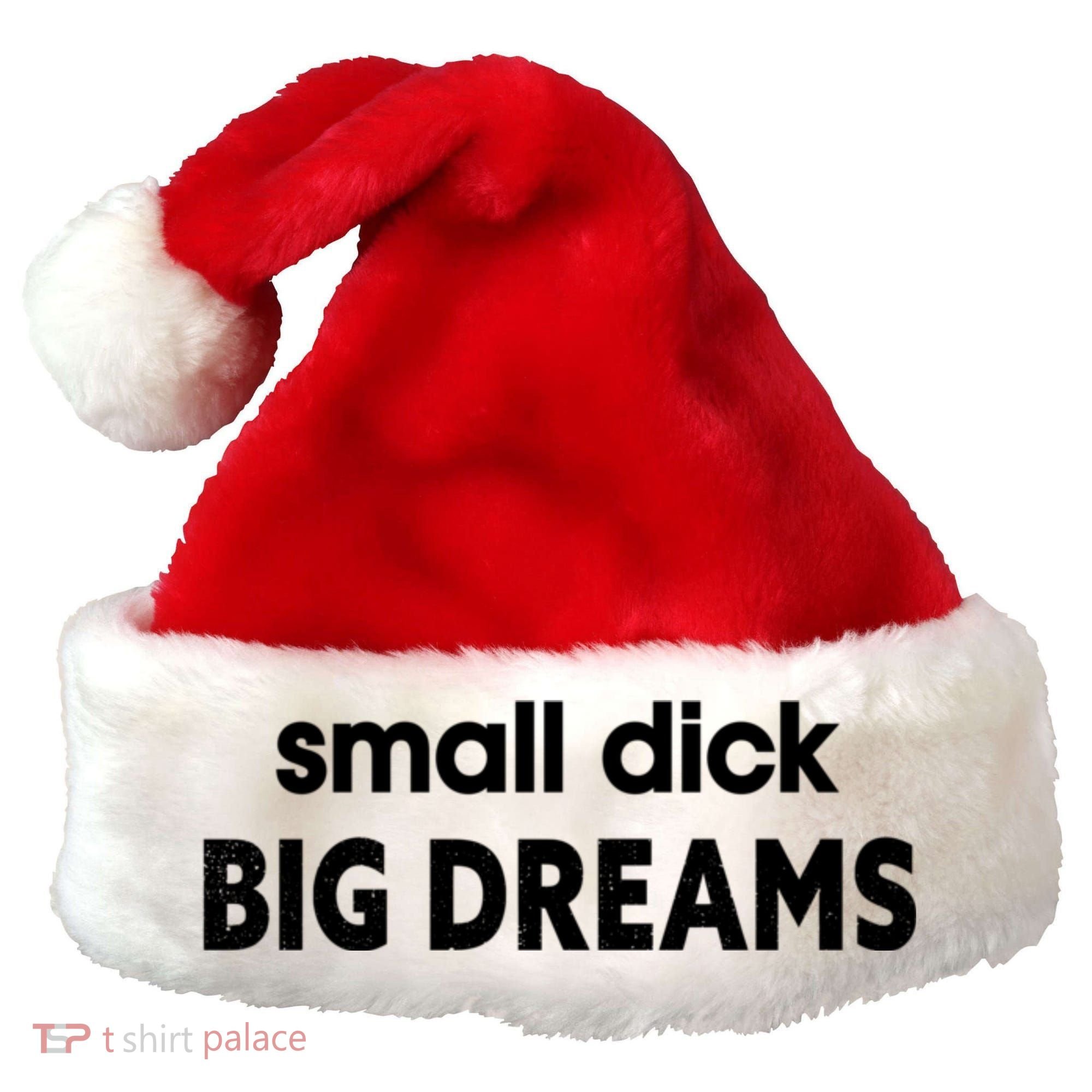 Small Dick Big Dreams Santa Hat