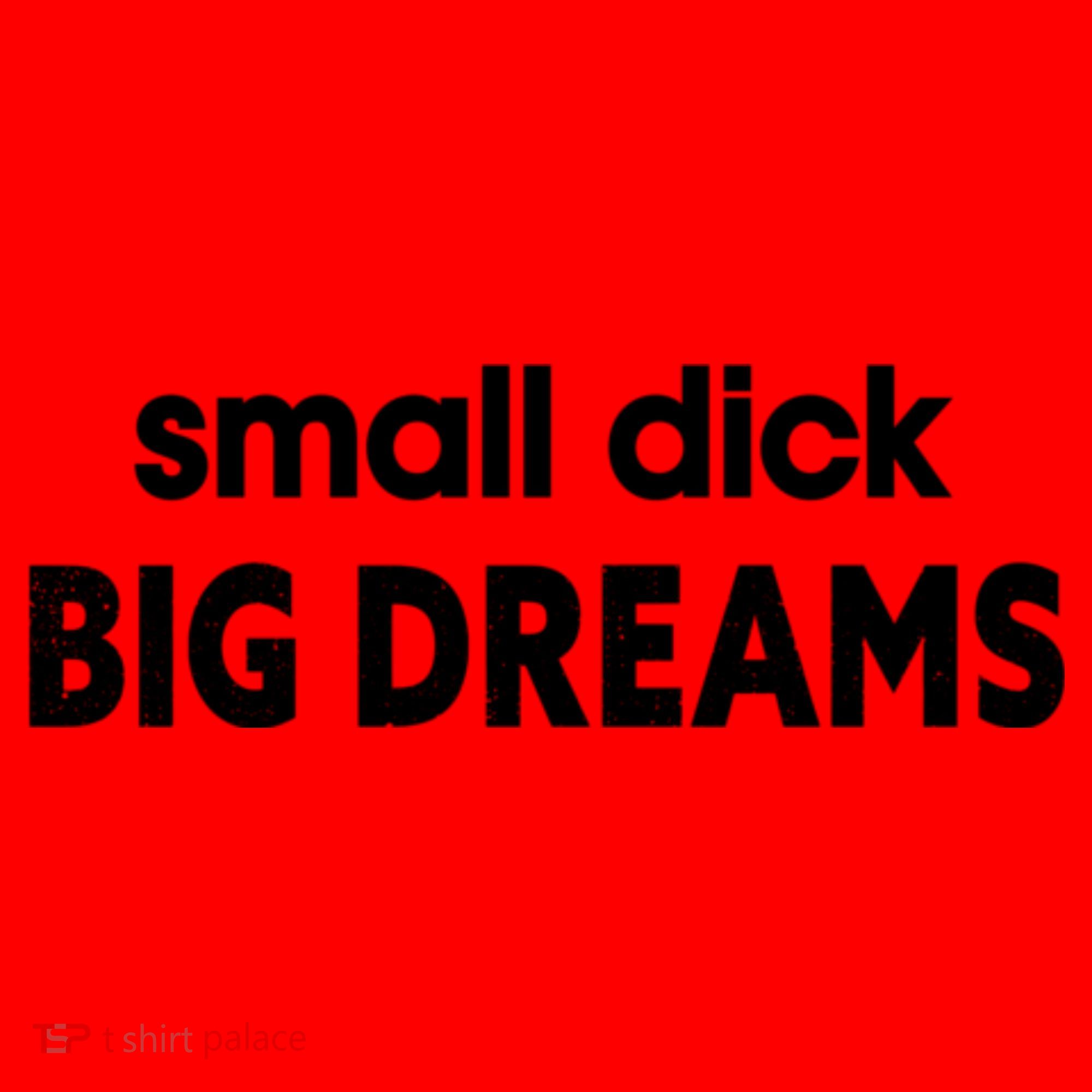 Small Dick Big Dreams Santa Hat