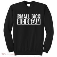 Small Dick Big Dreams Funny Sweatshirt thumb 0