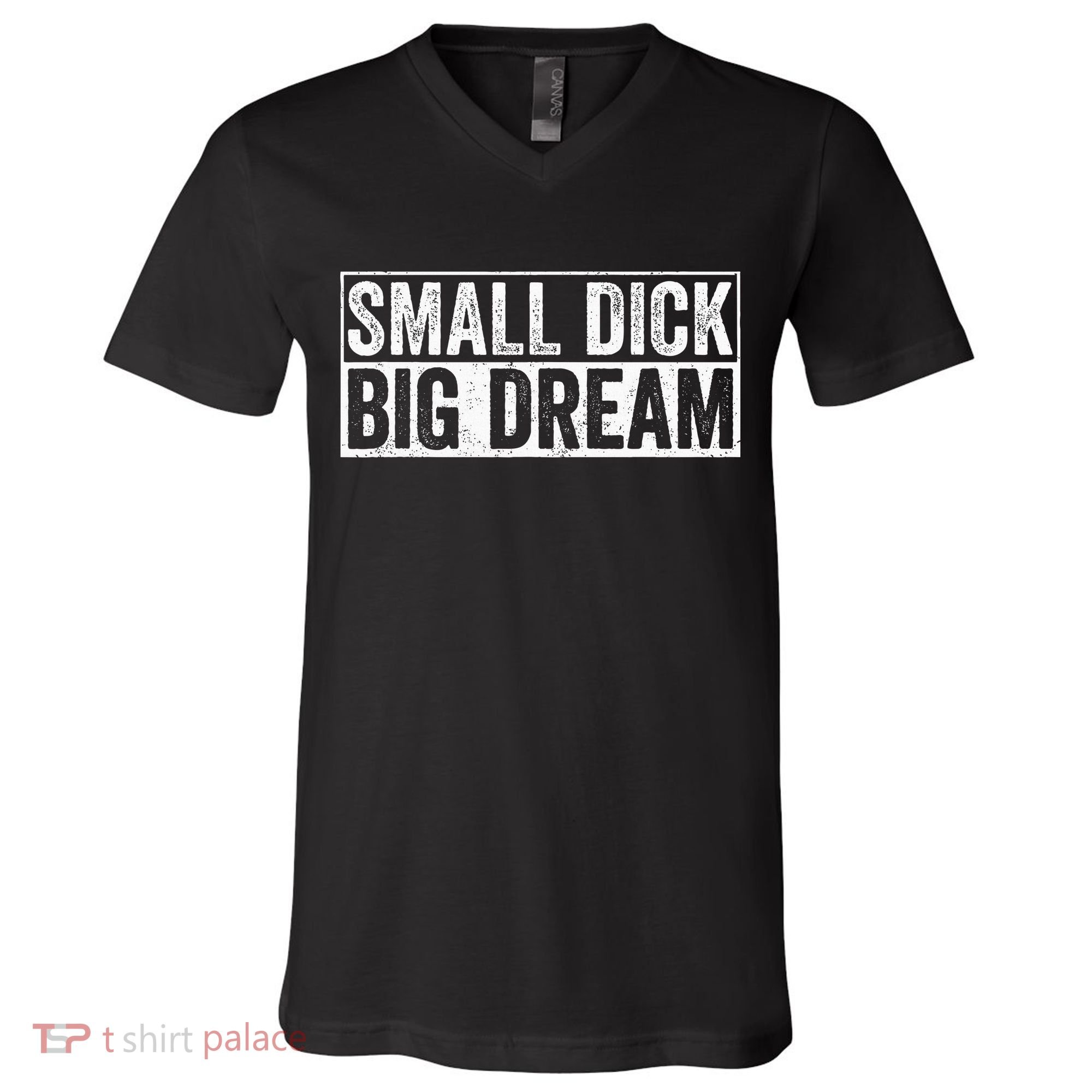 Small Dick Big Dreams Funny V-Neck T-Shirt