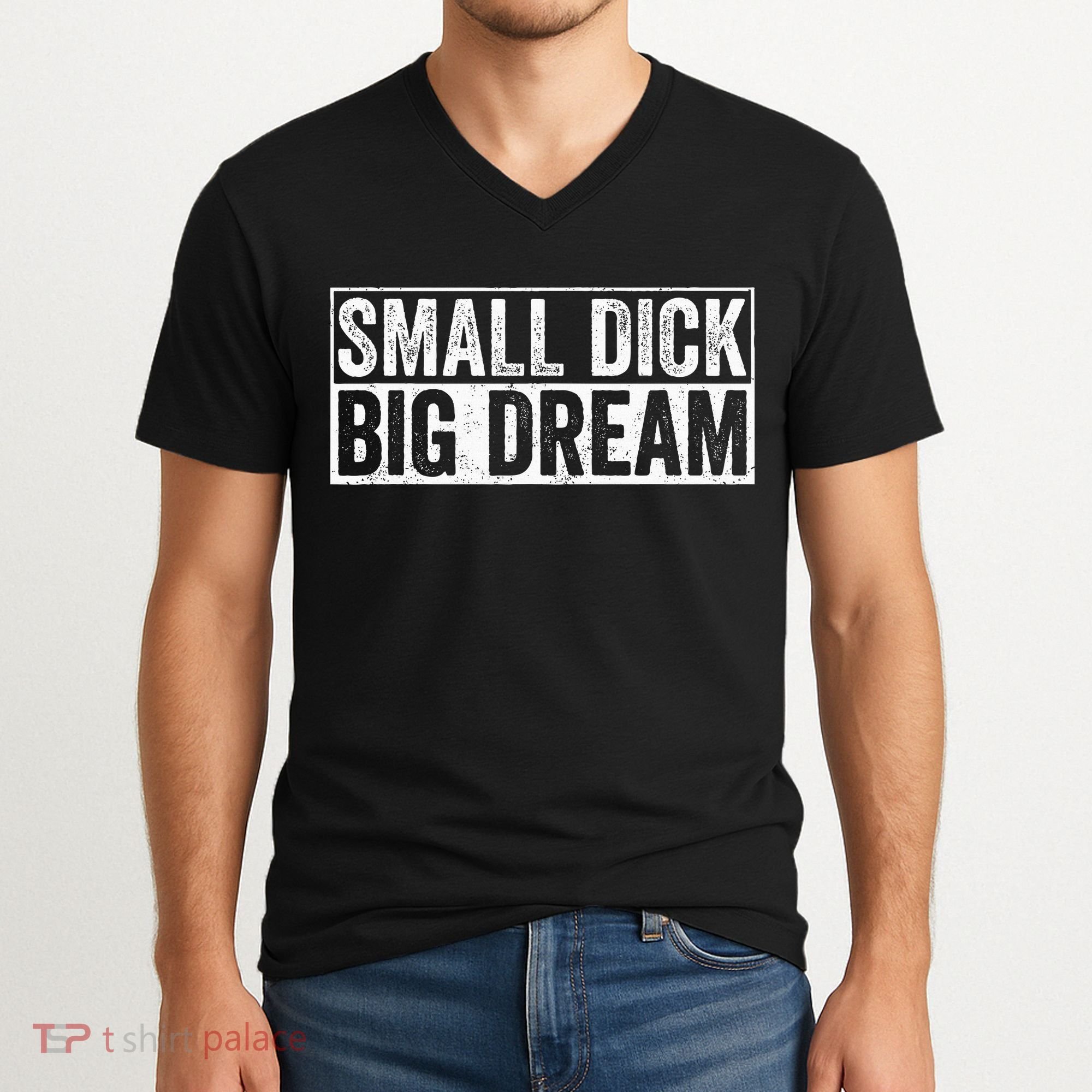 Small Dick Big Dreams Funny V-Neck T-Shirt