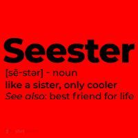 Seester Definition Best Friend For Life Santa Hat thumb 1