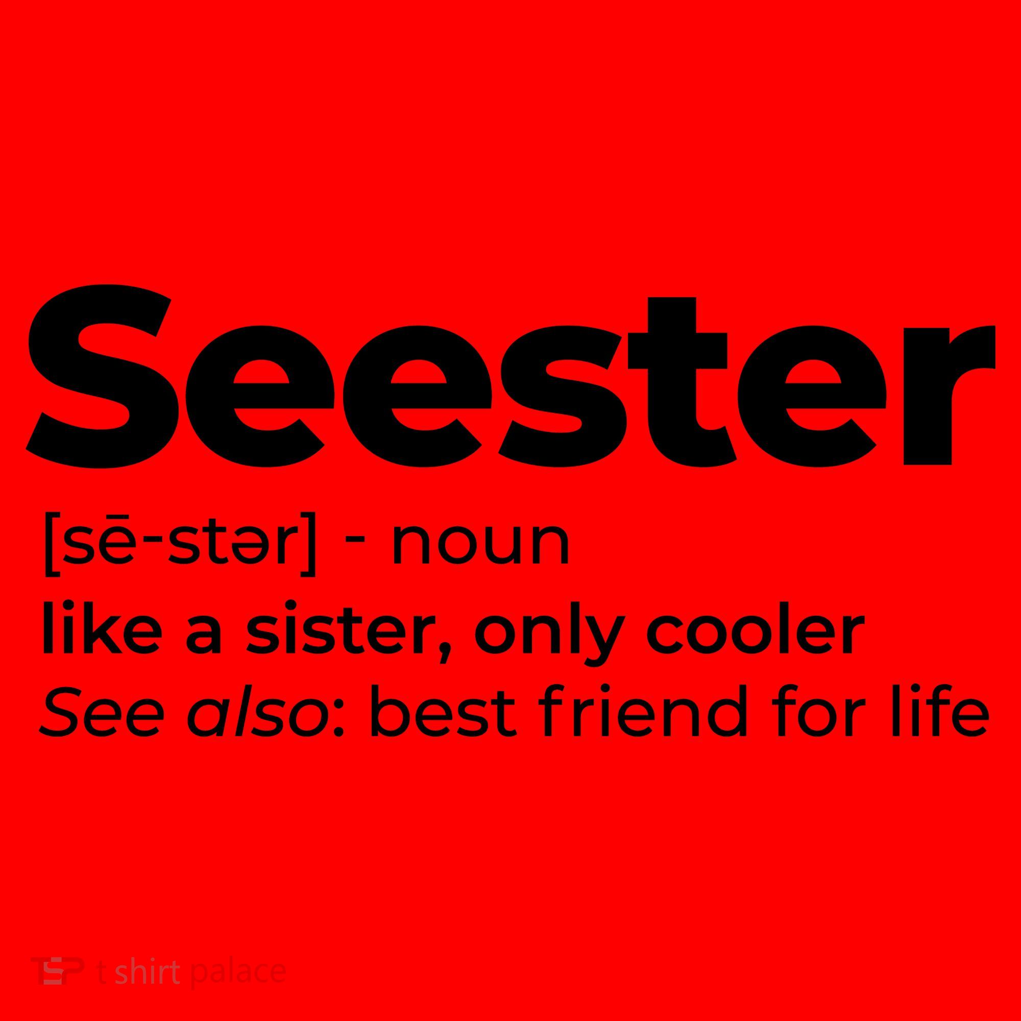 Seester Definition Best Friend For Life Santa Hat