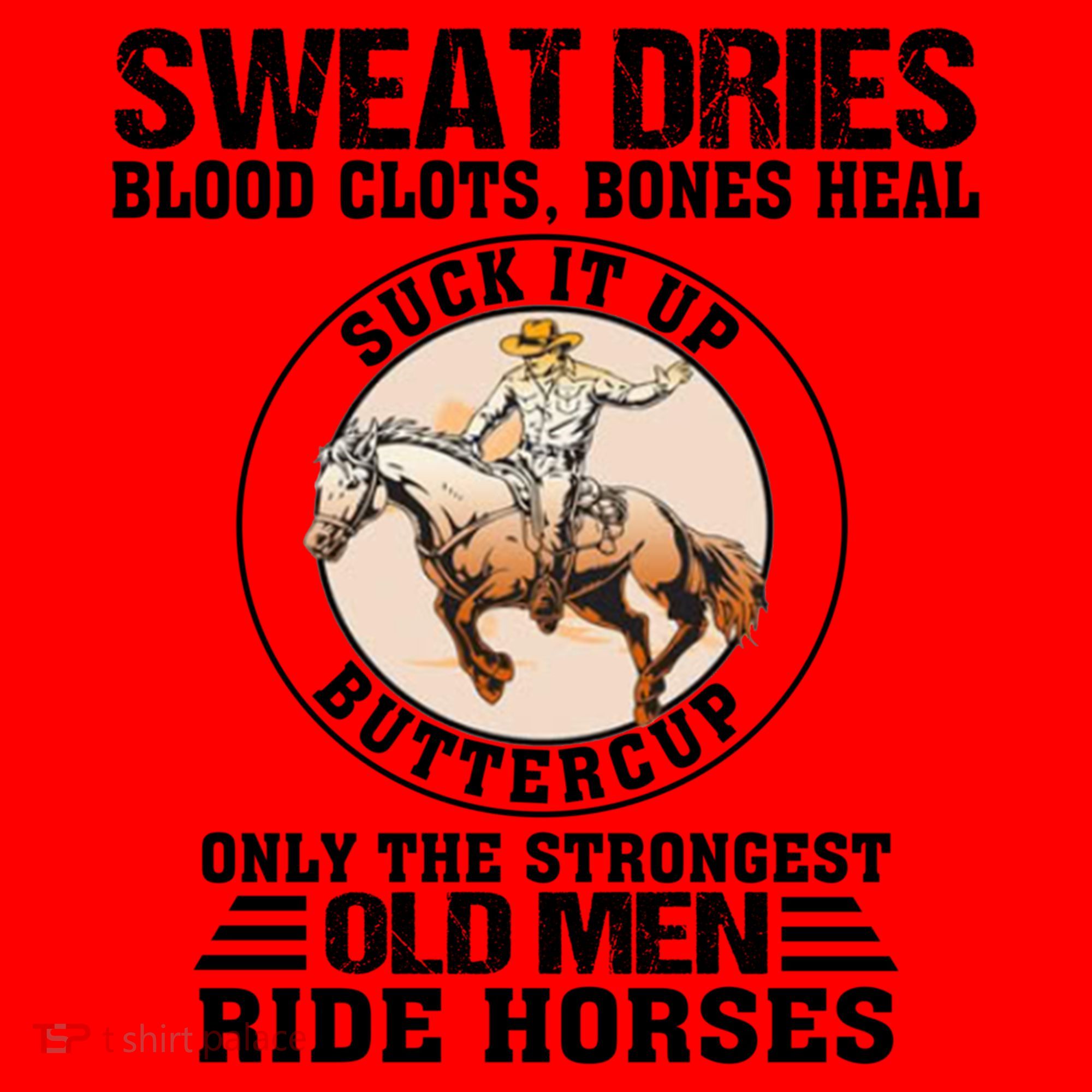 Sweat Dries Blood Clots Bones Heal Western Cow Horse Gift Santa Hat