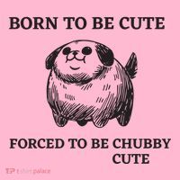 Silly Dogs Born To Be Cute Forced To Be Chubby Cute Coaster thumb 2