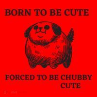 Silly Dogs Born To Be Cute Forced To Be Chubby Cute Santa Hat thumb 1
