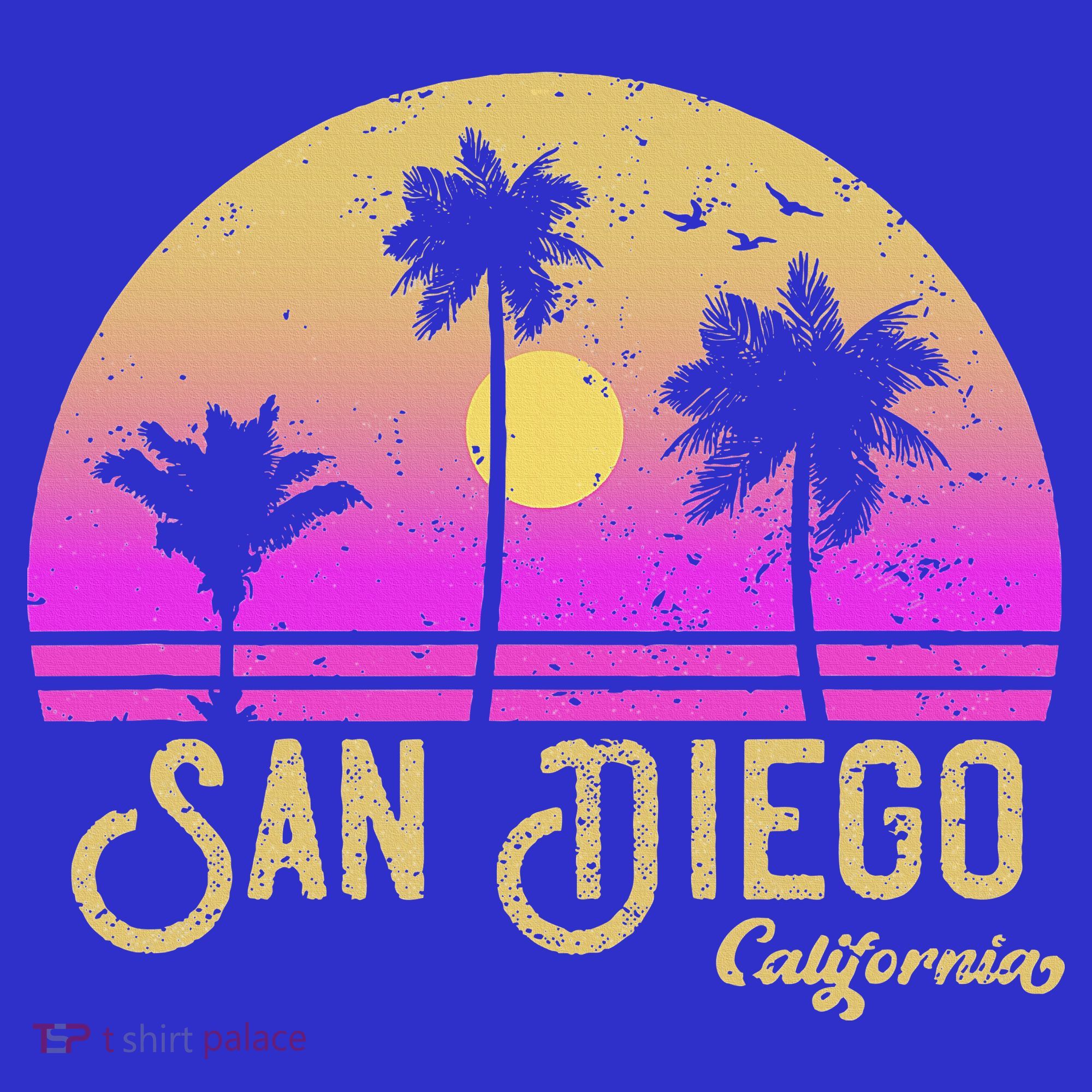 San Diego California Women's Long Sleeve Shirt