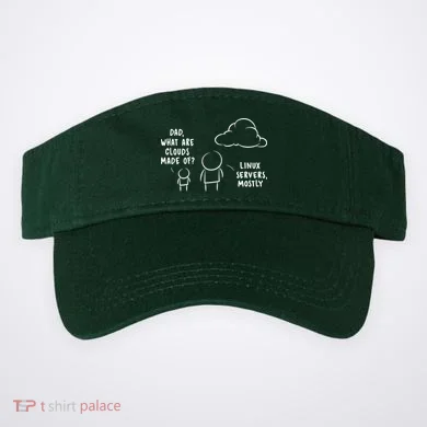 Visor