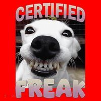 Silly Dog Certified Freak Dog I Got That Dog In Me Meme Santa Hat thumb 1