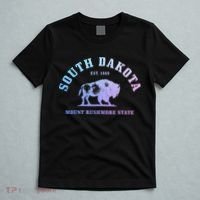South Dakota Est. 1889 Mount Rushmore State Bison Vintage T-Shirt thumb 5