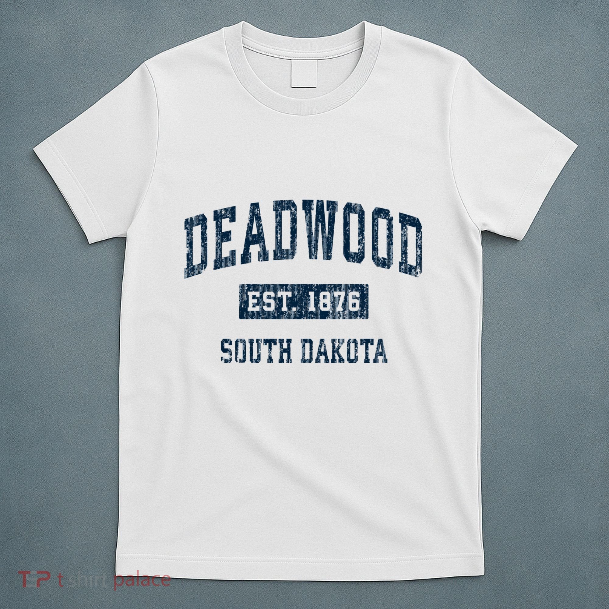 South Dakota Est 1876 Sd Vintage Sports T-Shirt
