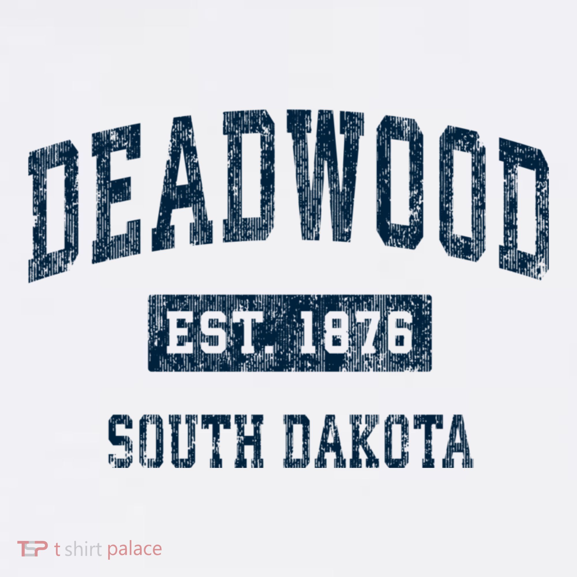 South Dakota Est 1876 Sd Vintage Sports T-Shirt