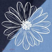 Spring Daisy Floral Raglan Baseball Sleeve Shirt thumb 2