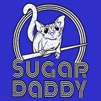 Sugar Daddy Funny Sugar Glider Gift For Sugar Glider Dads Gift Women's T-Shirt thumb 6