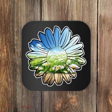 Summer Daisy Field Coaster