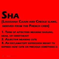 Sha Definition Funny Louisiana Cajun Creole Gift Santa Hat thumb 1