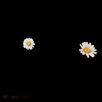 Smile Daisy Happy Face Coffee Mug thumb 5