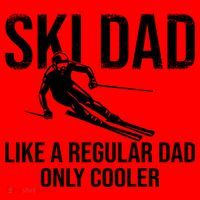 Ski Dad Like A Regular Dad Only Way Cooler Daddy Skier Gift Santa Hat thumb 1