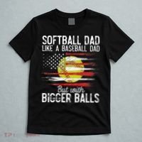 Softball Dad Like A Baseball Dad Definition T-Shirt thumb 5