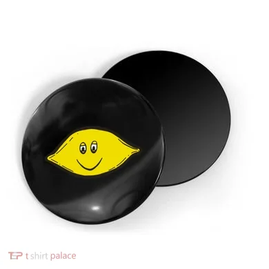 Magnet
