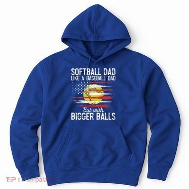 Softball Dad Like A Baseball Dad Definition Hoodie