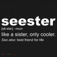 Seester Definition Like A Sister Only Cooler USA-Made Doggie Bandana thumb 2