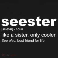 Seester Definition Like A Sister Only Cooler Toddler Hoodie thumb 2