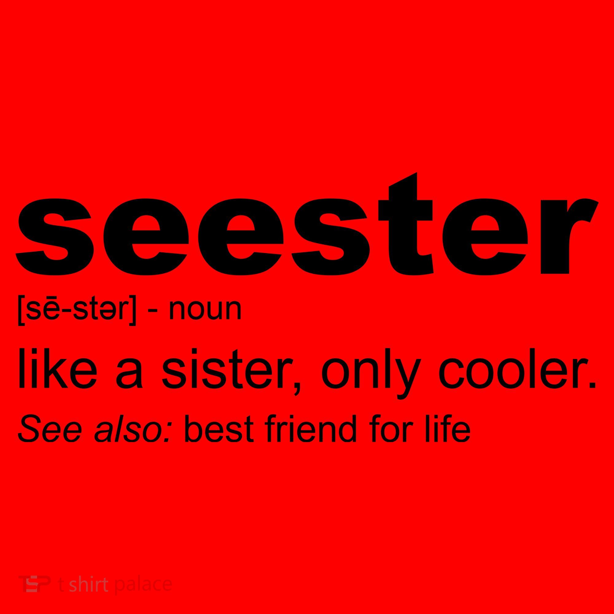 Seester Definition Like A Sister Only Cooler Santa Hat