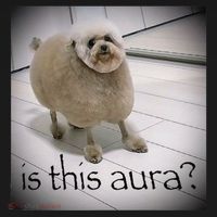 Silly Dog Meme Meme Brainrot Gen Z Funny Haircut Dog Meme Visor thumb 3