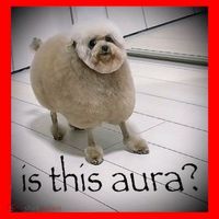 Silly Dog Meme Meme Brainrot Gen Z Funny Haircut Dog Meme Santa Hat thumb 1