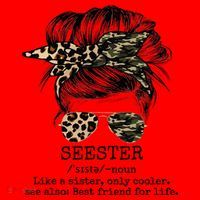 Seester Definition Messy Bun Camo Cheetah Santa Hat thumb 1
