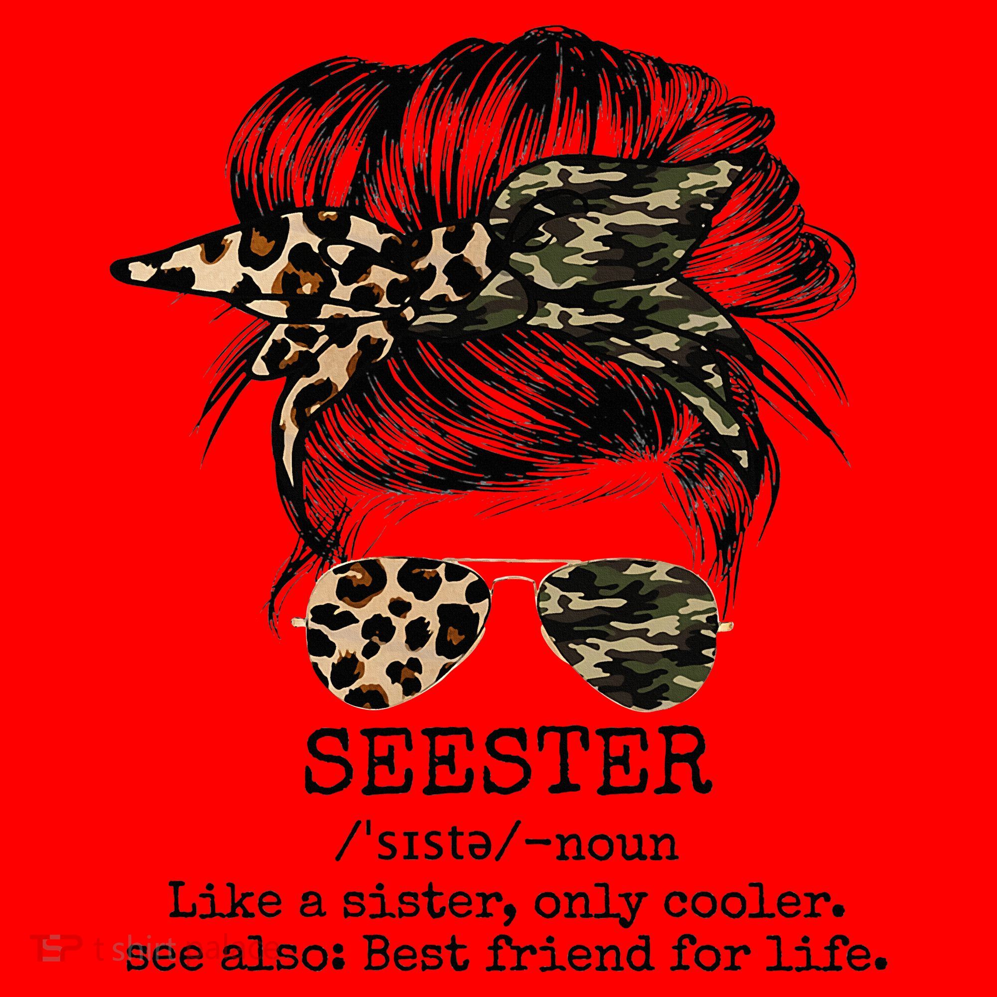Seester Definition Messy Bun Camo Cheetah Santa Hat