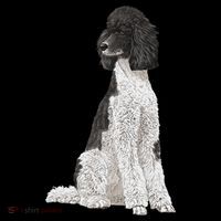 Sitting Dog Poodle Women's Tank Top thumb 5