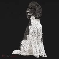 Sitting Dog Poodle Toddler Hoodie thumb 2
