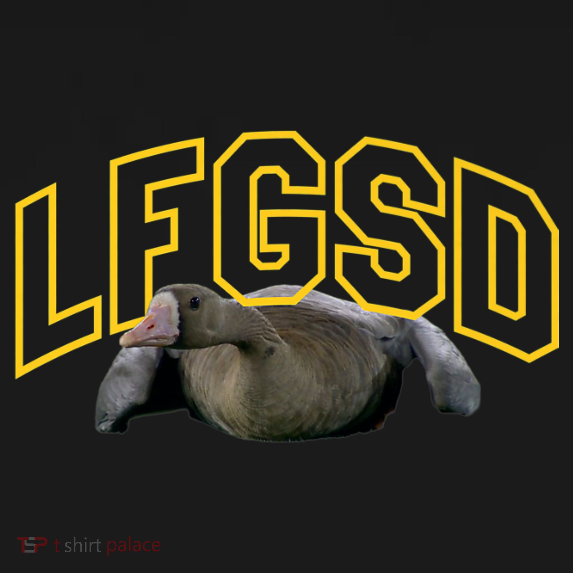 San Diego Rally Goose LFGSD Baseball Hoodie