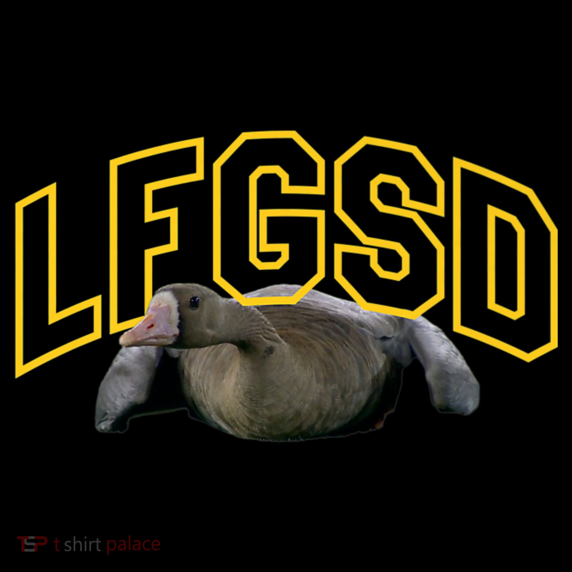 San Diego Rally Goose LFGSD Baseball Women's Hoodie