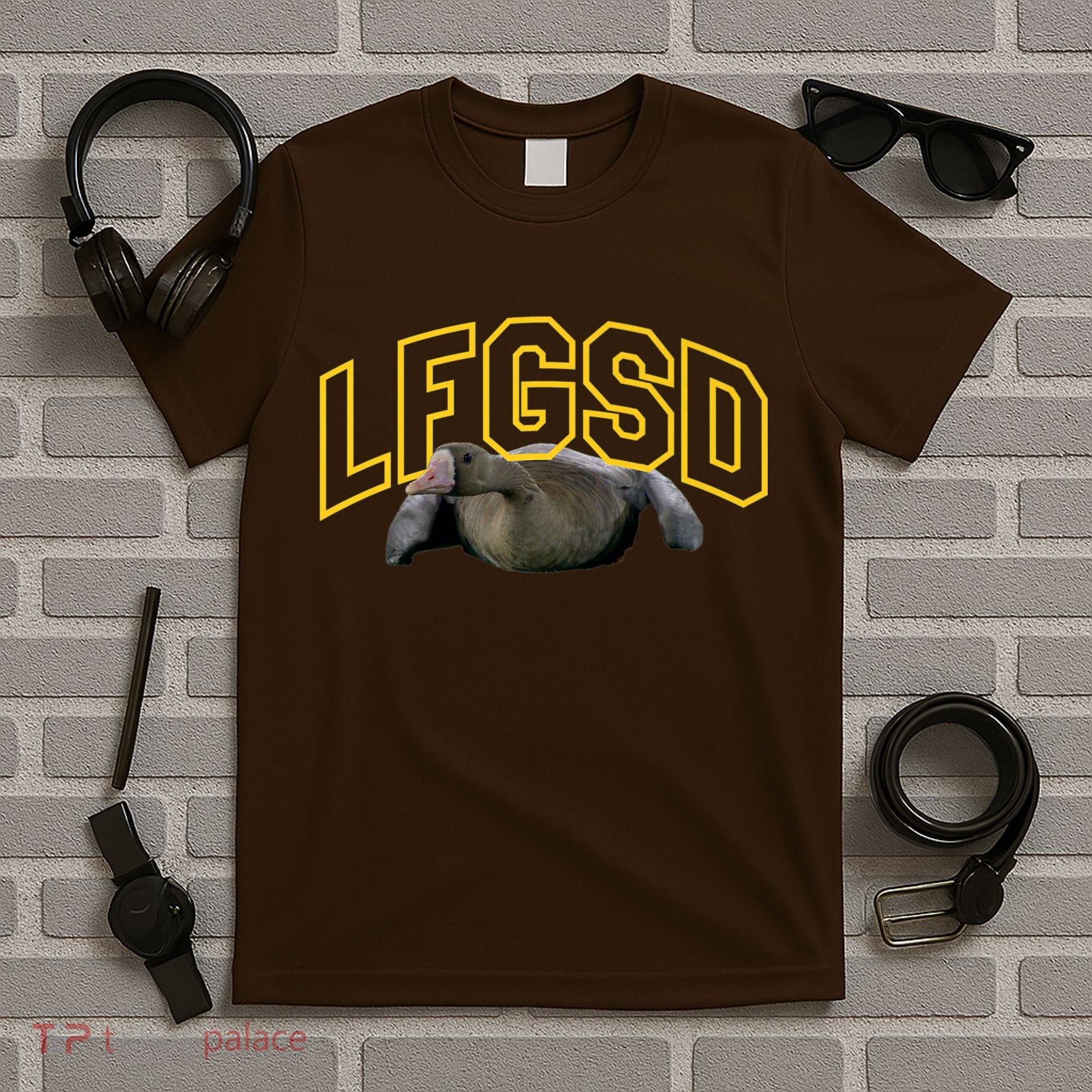 San Diego Rally Goose LFGSD Baseball T-Shirt