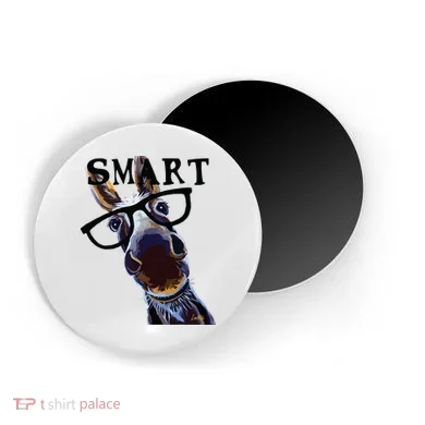 Magnet