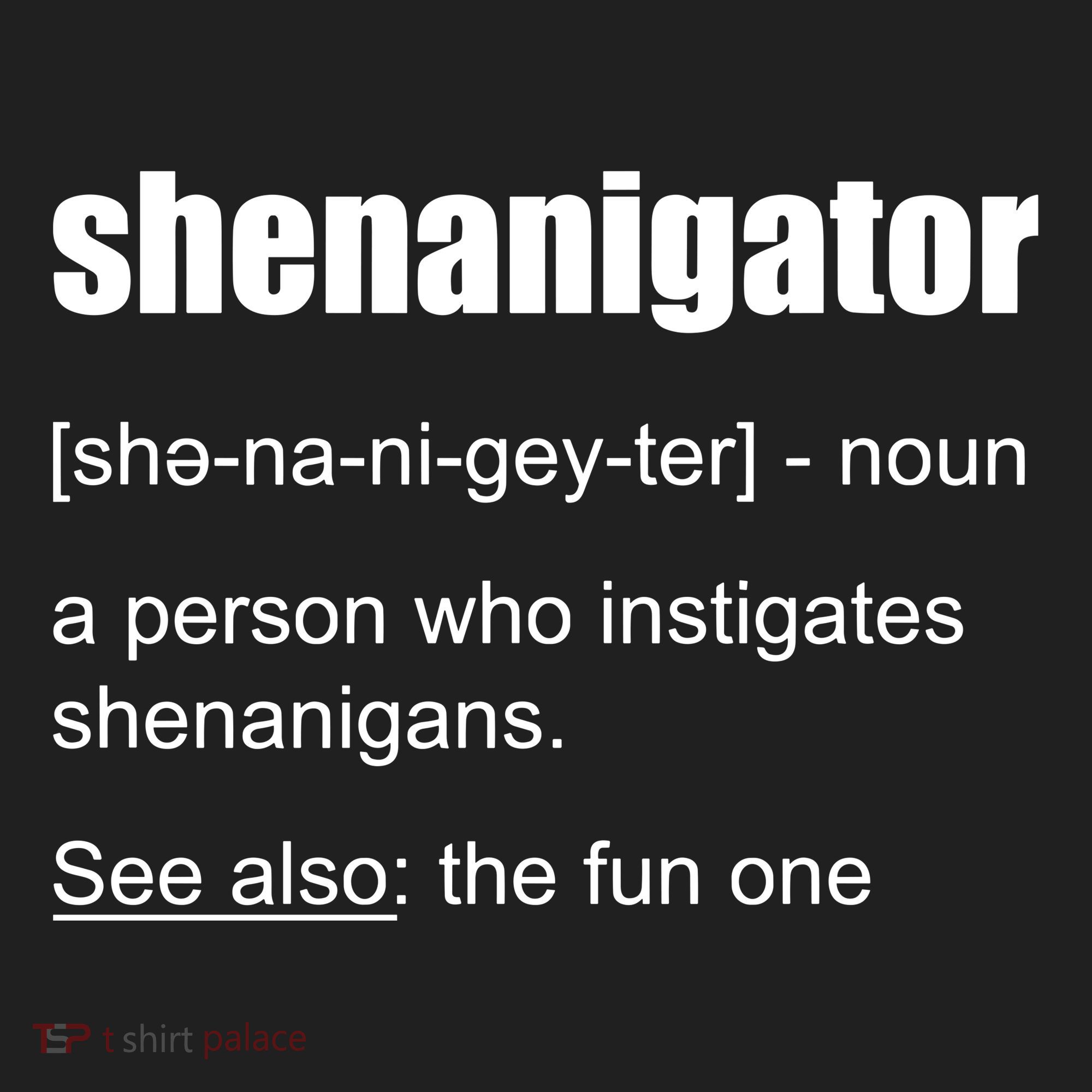 Shenanigator Definition Tumbler