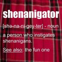 Shenanigator Definition Men's Flannel Plaid Pajama Pants thumb 2