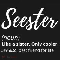 Seester Definition Seester Dictionary Best Sister Ever Gifts Ornament thumb 1