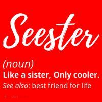 Seester Definition Seester Dictionary Best Sister Ever Gifts Santa Hat thumb 1