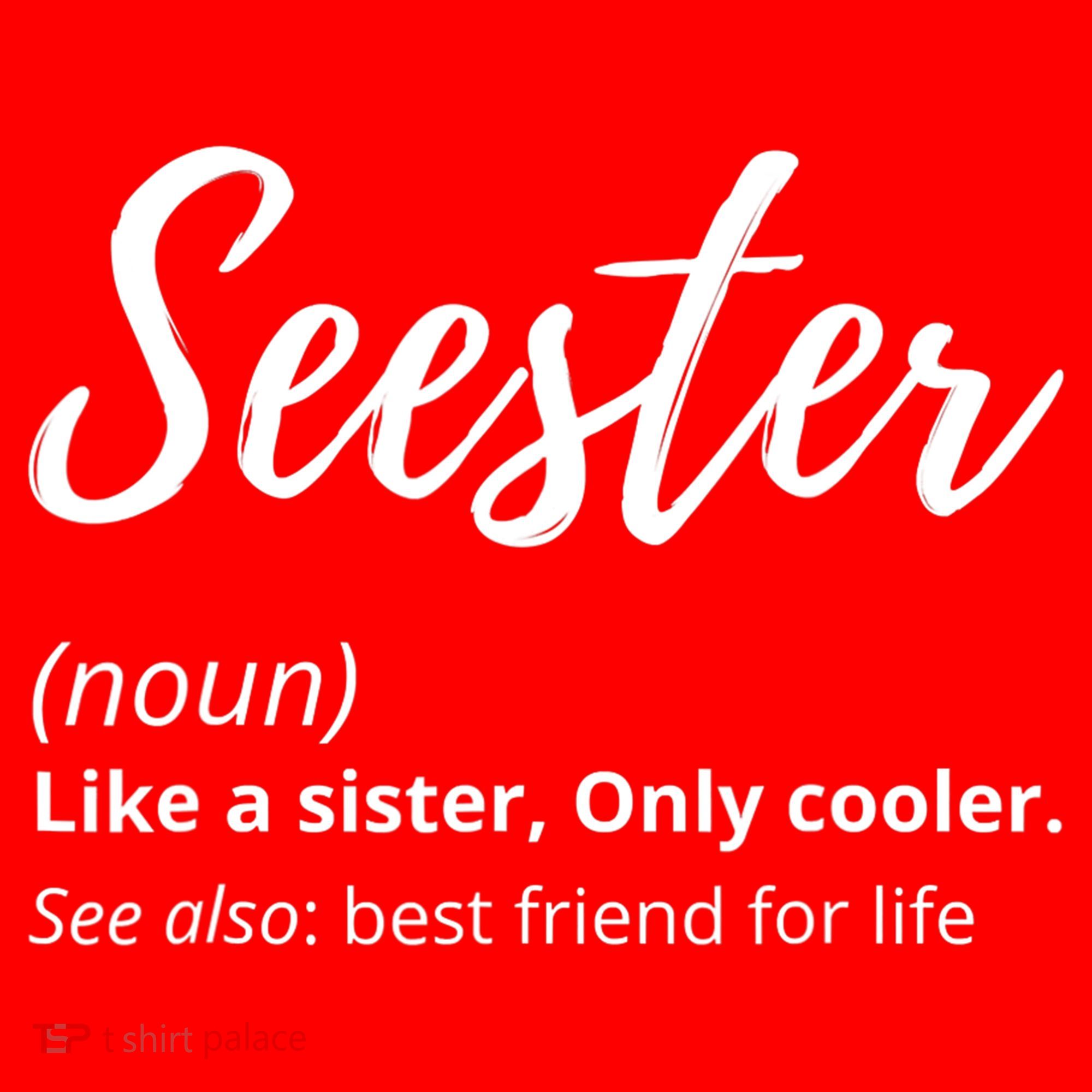 Seester Definition Seester Dictionary Best Sister Ever Gifts Santa Hat