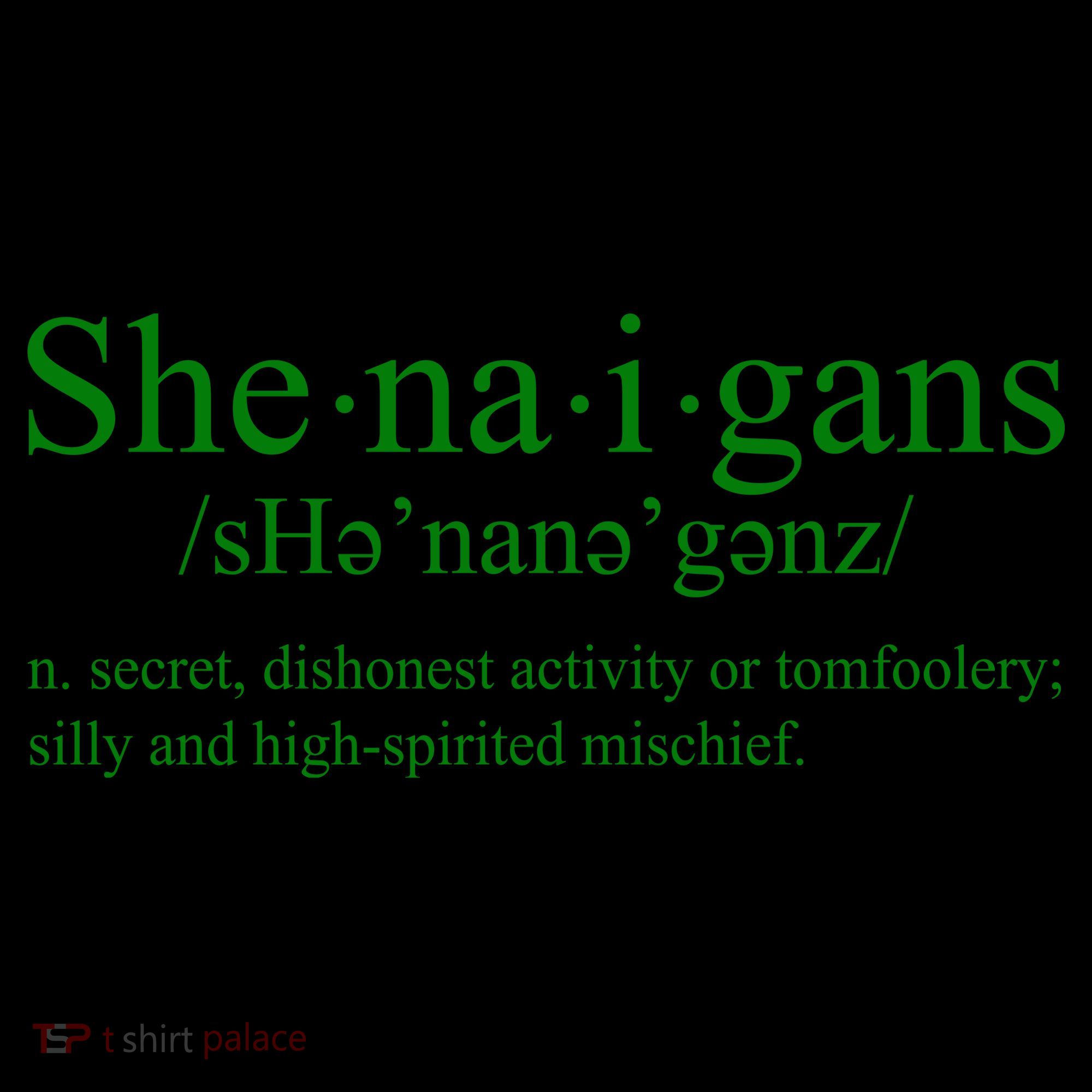 Shenanigans Definition St Patricks Day Funny Coffee Mug