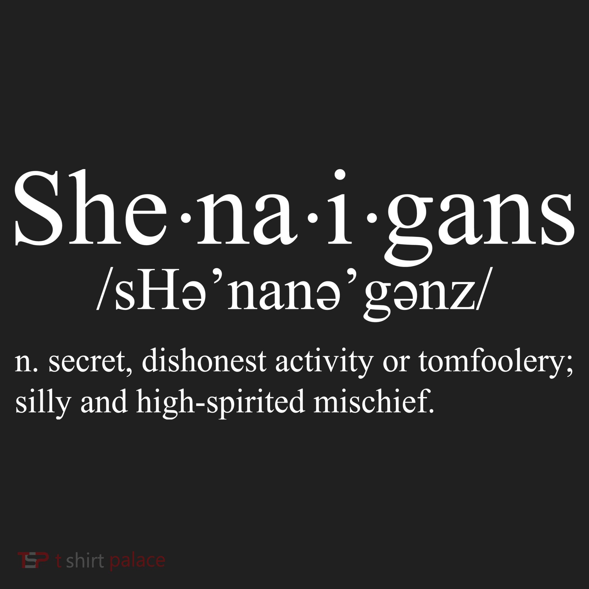 Shenanigans Definition St Patricks Day Funny Beanie