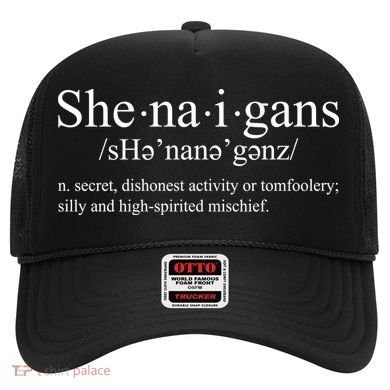 Shenanigans Definition St Patricks Day Funny Hat