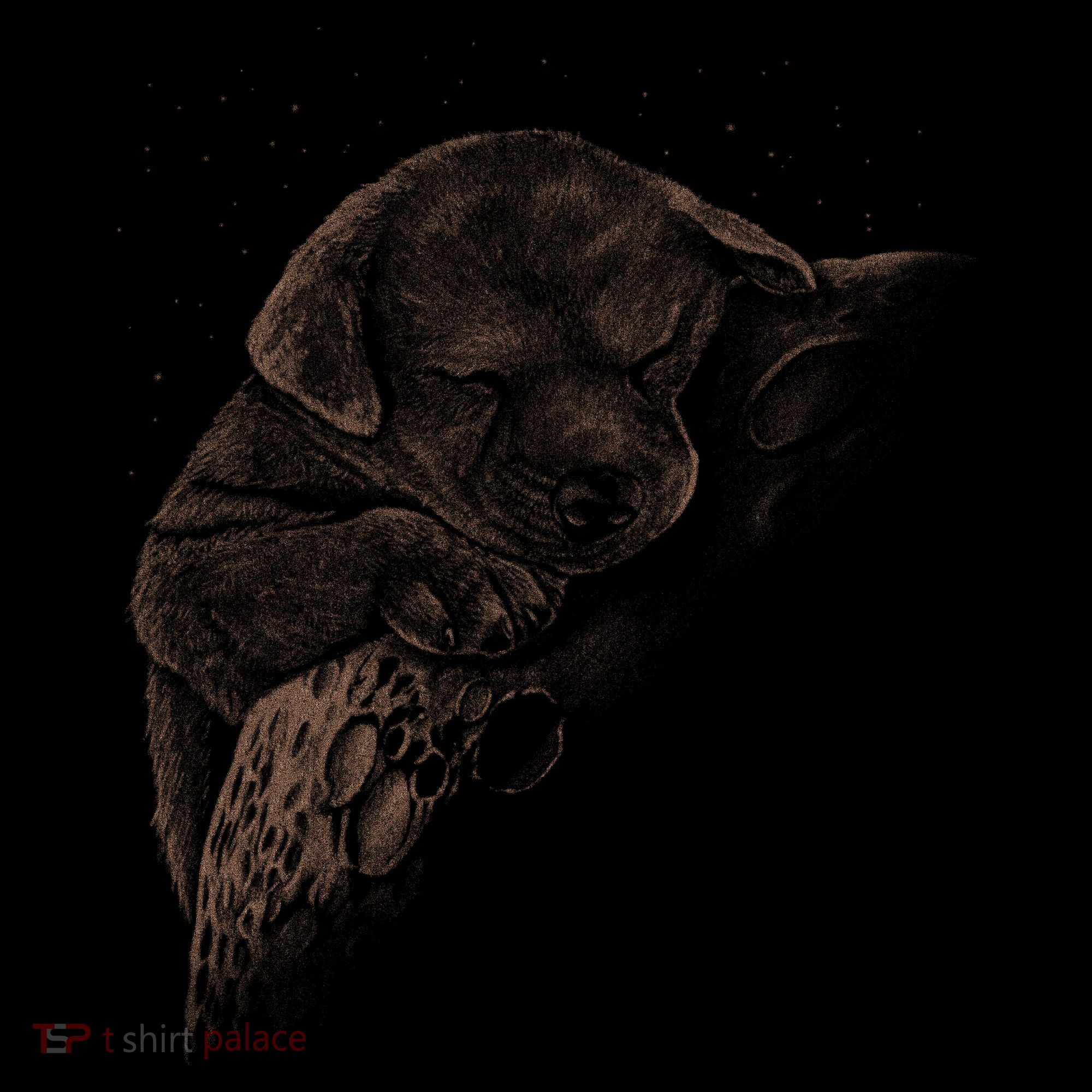 Sweet Dog Sleeping On Moon T-Shirt