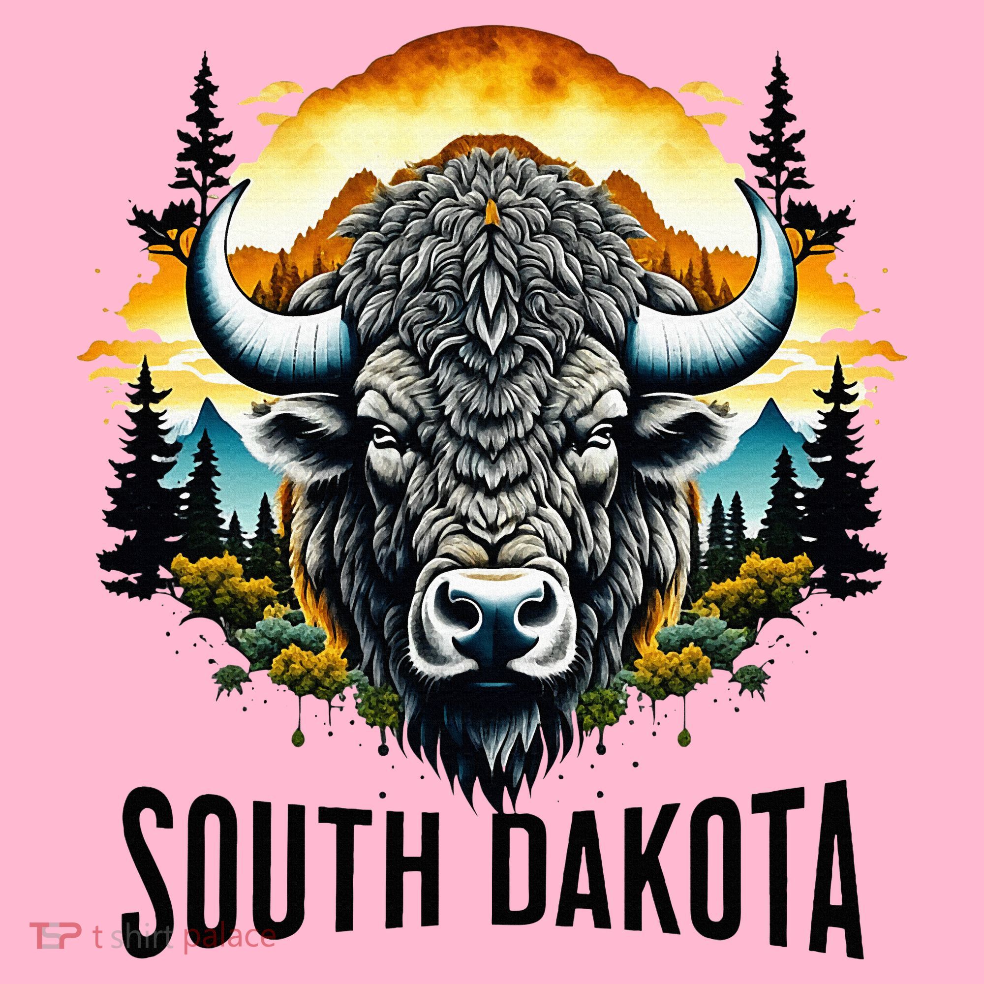South Dakota Coaster