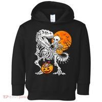 Skeleton Dinosaur T Rex Boys Halloween Mummy Funny Pumpkin Toddler Hoodie thumb 0