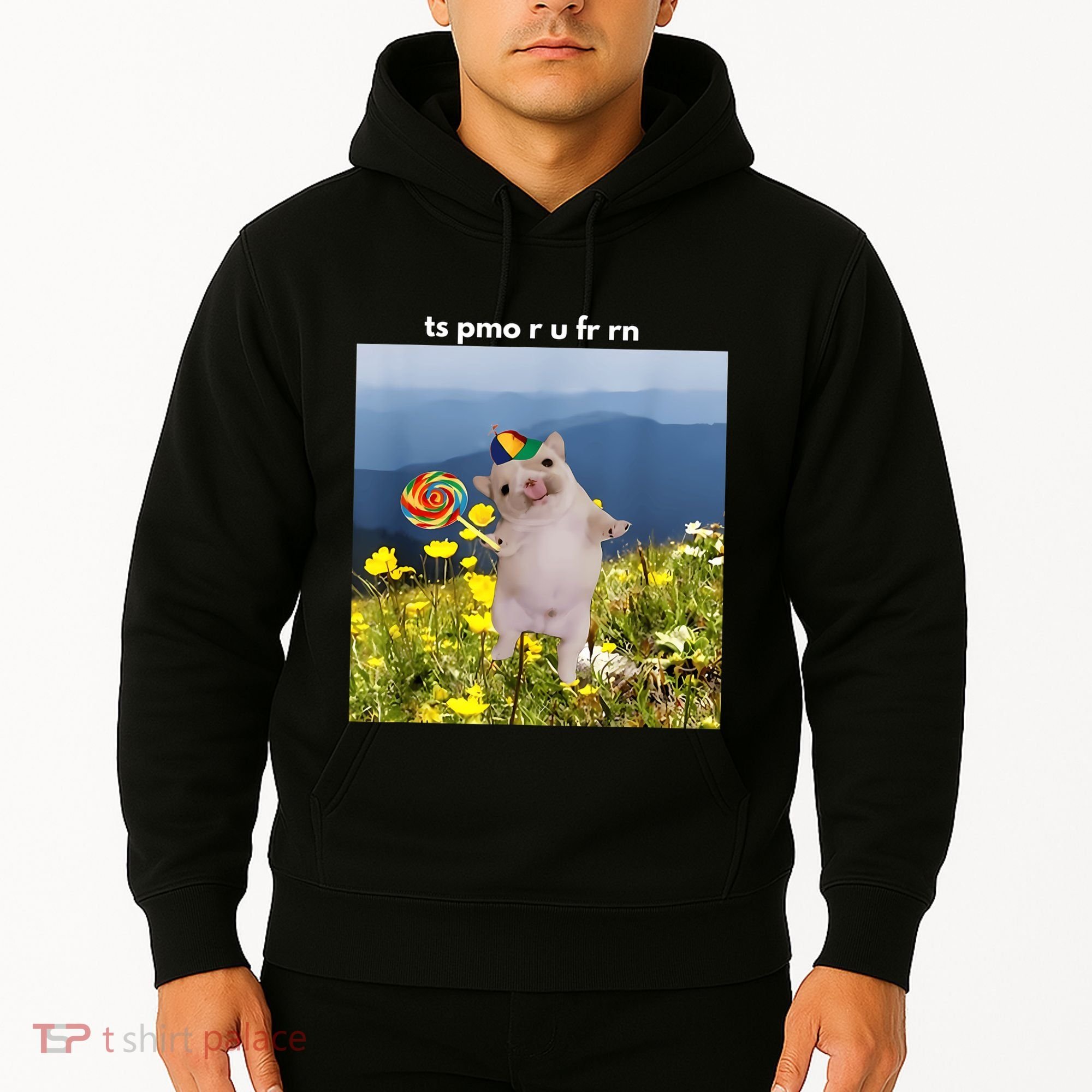 Silly Dog With Lollipop Meme Gen Z Brainrot Slang Meme Hoodie